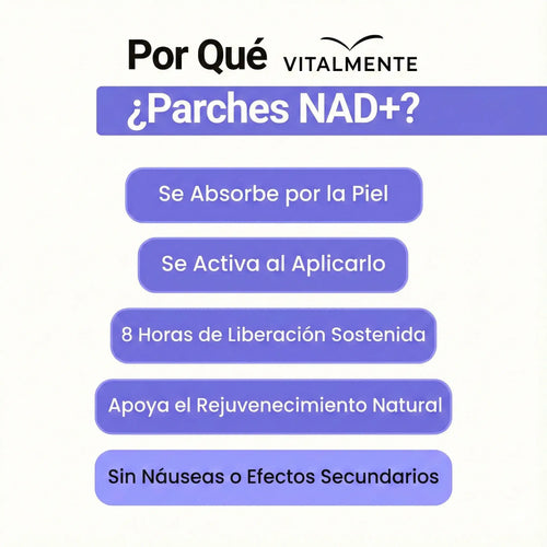 Parches NAD+ Boost™ Vitalidad renovada y rejuvenecimiento celular